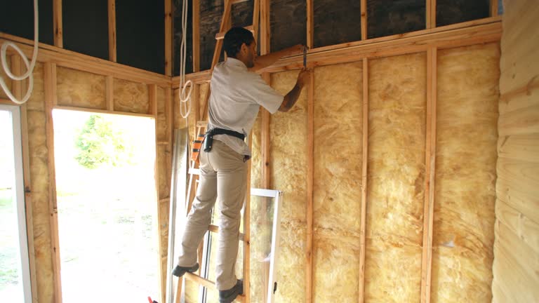 Types of Insulation We Offer in Holly Lake Ranch, TX